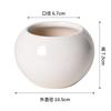 Simple Succulent Flower Pot Plant Potted Mini Round Ceramic Pot Home Decoration Green Plant Small Flower Pot