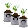 Seedlings Growing Pots Home Garden Tools Big Plant Pot Potato Strawberry Bag Seedling Grow Bags