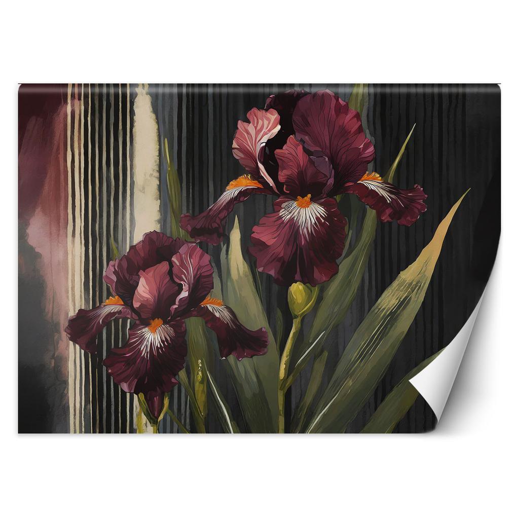 Wallpaper Flowers Red Botany