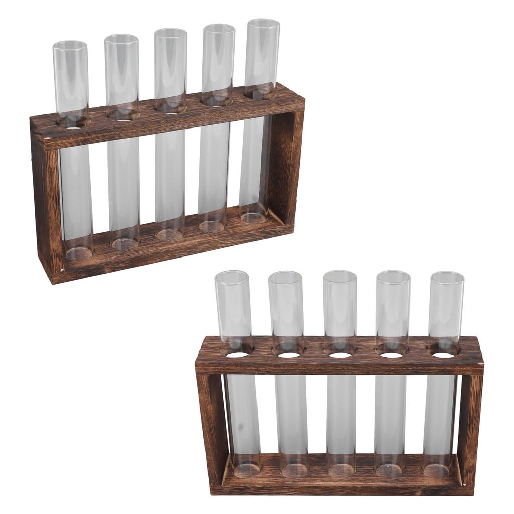 5 Test Tube Plant Terrarium Transparent Observe Growth Status Water Plant Holder with Wooden Stand for Herbs
