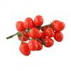 High quality Artificial Tomato Red & Yellow Fake House Kitchen Decoration