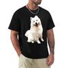 Samojede Hund Samojede Geschenk T-Shirt Große Größe Locker sitzendes T-Shirt