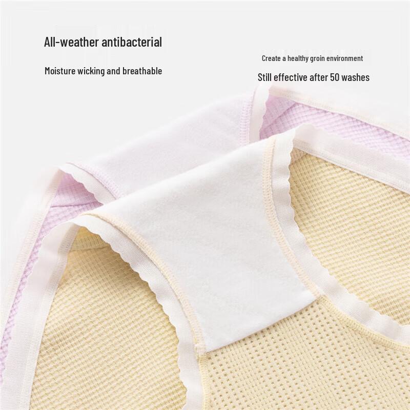 Cosmo Lady Women's Plaid Lace-Trim Cotton Briefs 3-Pack