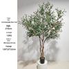 Olive Tree Potted Plant - Indoor Decor Simulation for Living Room