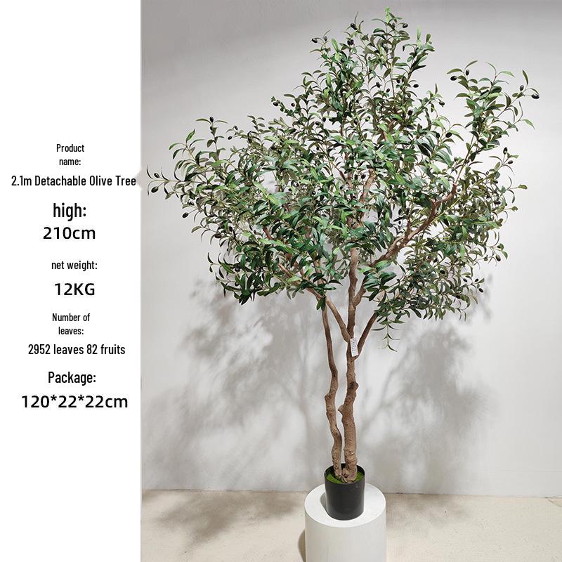 Olive Tree Potted Plant - Indoor Decor Simulation for Living Room