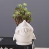Gardening Succulent Flower Pot Ceramic, Creative Indoor Tabletop Cartoon Dolphin Animal Flower Pot