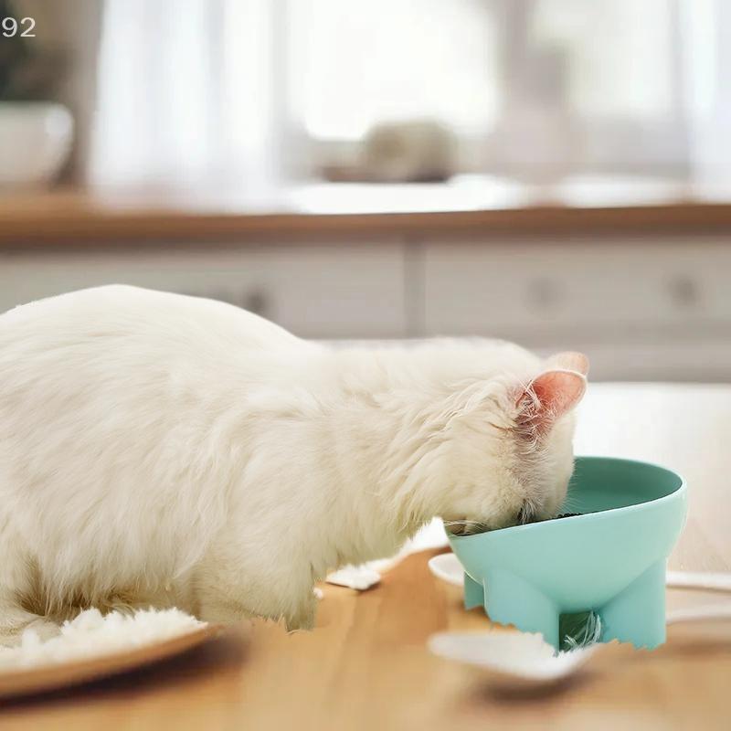 Elevated Cat Bowl With Stand - Durable Plastic Pet Food & Water Dish, Sleek Modern Neck-Friendly Feeding For Cats & Dogs