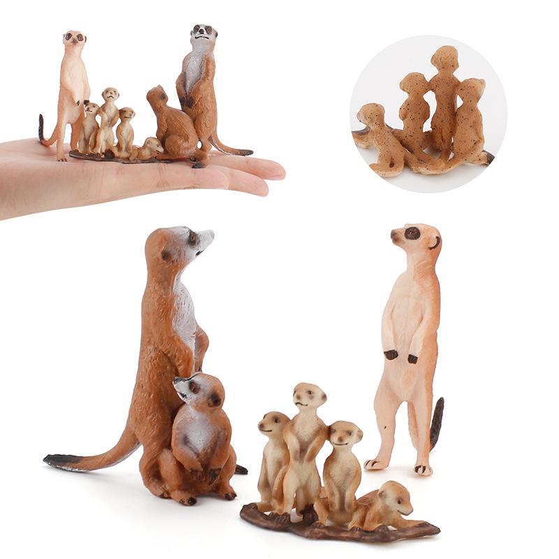 Children's Solid Meerkat and Raccoon Desktop Figurine Set