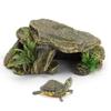 Pești și animale marine – Decorul acvariului
