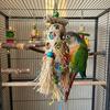 Bissfester Vogel-Futterspielzeug zum Zerreißen Knisterndes Hängender Futterkorb Zähne Mahlen
