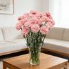 5 Pièces Décoration de Mariage de Jardin Œillet Blanc Bouquet de Fleurs Artificielles Pour Décoration de Pièce de Maison Ornement de Vase Bricolage Fleur Artificielle