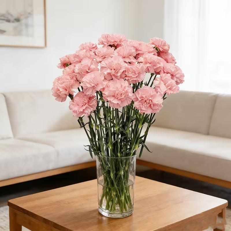 5 Pièces Décoration de Mariage de Jardin Œillet Blanc Bouquet de Fleurs Artificielles Pour Décoration de Pièce de Maison Ornement de Vase Bricolage Fleur Artificielle