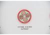 Flexible Fireproof High Voltage Outdoor PV Wire with BTLY Insulated Copper Core
