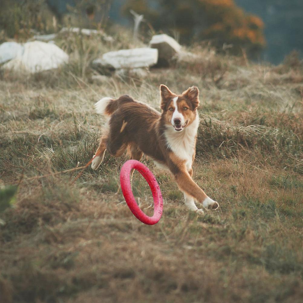 Pet Ring Flying Saucer Toysfor Dog Dog Flying Discs Outdoor Floating Interactive Toy