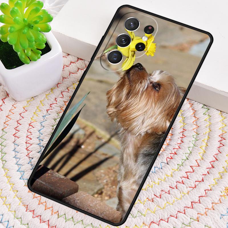 Yorkshire Terrier Yorkie Hund Haustier Handyhülle Für Samsung Galaxy note 10 pro S26 S25 S24 S23 S22 Ultra Plus S21 FE S20 Hülle