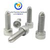 Hex Socket Spring Ball Plunger Screw BPRL VCN416 ZAK01