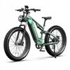 Elektrické kolo DUOTTS E26 55km/h 1000W 48V 20Ah 120km MTB Vhodné pro cestování a parkování Zelená