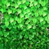 Artificial Grape Leaf Decoration: Green Creeper Vine for Ceiling Plants, Flowers - Wholesale Options Available.