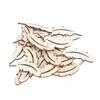 50pcs Unfinished Surface Wood Plume Cutouts Wood Slices Wooden Craft Tags  For DIY Craft Project