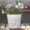 Balcony Hanging Flower Pot Metal Display Planter for Home Garden Use 55KF