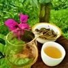 2020 Ceai Puerh crud „Gua Feng Zhai” Primăvara timpurie Arbore antic, prăjitură de ceai Sheng Puerh, făcută manual, 357g