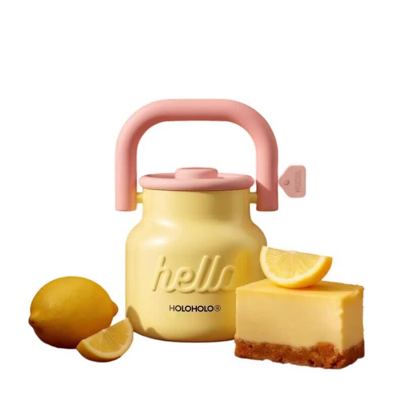 HOLOHOLO Insulated Straw Water Bottle