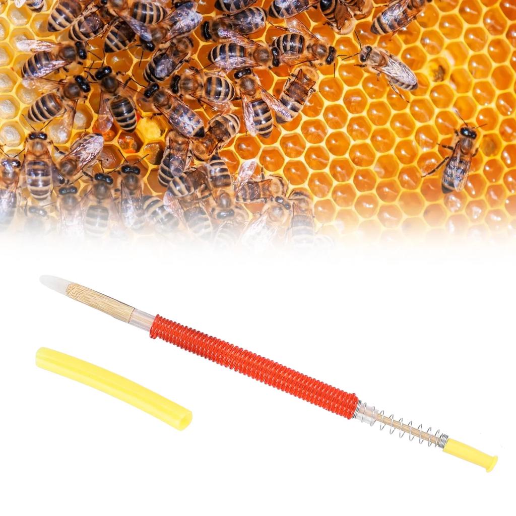 25Pcs Beekeeping Larvae Grafting Needle Bee Queen Rearing Tool Apiculture Equipment