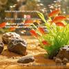 Pești și animale marine – Decorul acvariului