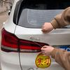 Auto-Emblem-Entferner-Kit Auto-Logo-Plakette Abziehline Aufkleber Kratzfreies Hebelwerkzeug Auto-Folien-Installationswerkzeug