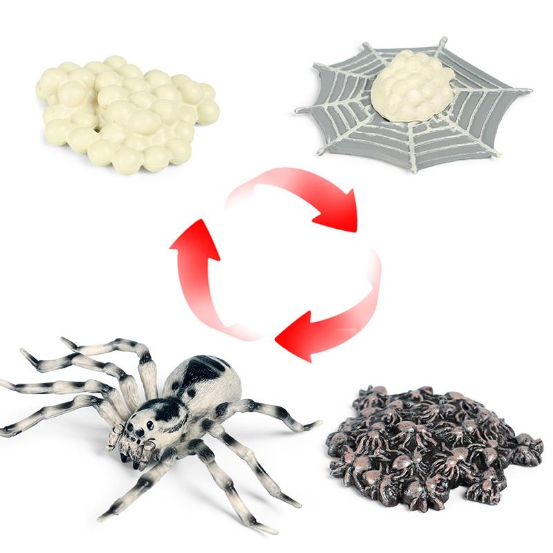 Oenux Insekten Tiere Modell Spinnennetz Skorpion Fledermaus Actionfiguren Figur Miniatur Niedlich Pädagogisch Kinder Spielzeug Halloween Geschenk