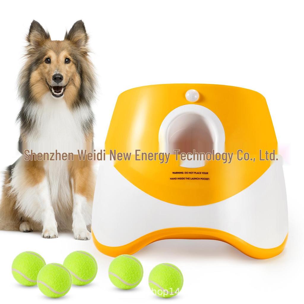 Lanciapalle automatico per animali domestici per gatti e cani – Include 6 palline da tennis per giocare all'aperto