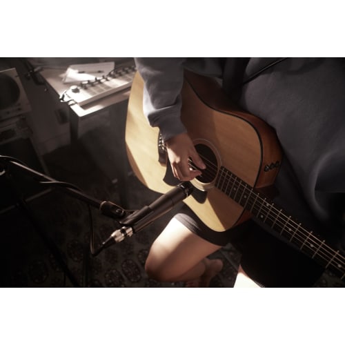 Shure Dynamic Microphone SM57-LCE