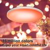 30W Intelligent RGB Dimming Ceiling Lamp 220 V Wi-fi+BT 2.4G Remote Controlling Built-in Microphone