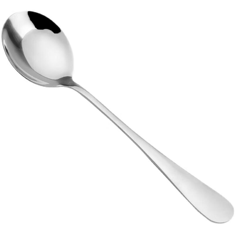 304 Stainless Steel Multi-Purpose Spoons - 10 Pack