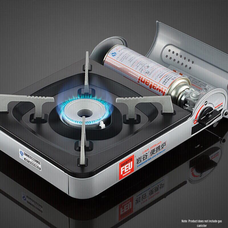 Portable Outdoor Gas Camping Stove