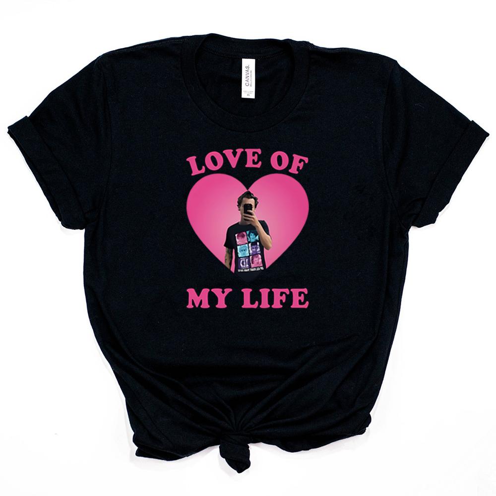Love of My Life HS Graphic Tee TPWK Pleasing Tshirt Love On Tour Shirt HS Selfie Y2k 90s Harajuku Tshirt Cute As It Was Tshirt