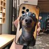 Phone Case Carcasa Funda For iPhone 17 Pro Max 17 Air 16 15 14 13 Pro Max 15 16 Pro 15Plus Dachshund Dog