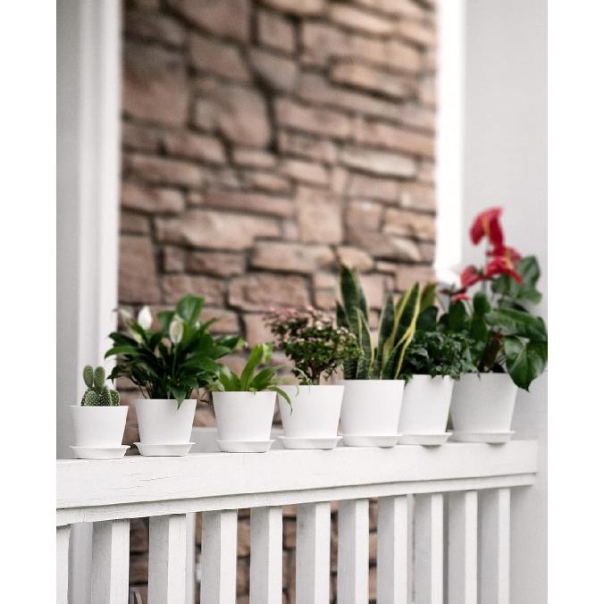 LaDoVita 7 Pack Plastic Plant Pots Indoor, 7/6.5/6/5.5/5/4.5/4 Inch Modern Planters for Plants, Flower Pots with Drainage Holes and Trays, White