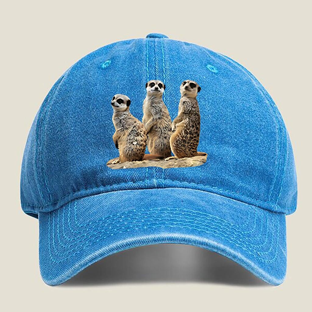 Erdmännchen-Trio Wildtier-Fandom, Süße Vibes verbreitend Gewaschene Baseballkappe Outdoor Für Damen Unisex FeUnisex Mode Dad Hat Hip Hop