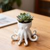 Unique Statue Planter 3D Printed Octopus Vase, Shaped Flowerpot, Creative Pot, Porch Flowerpot Funny Animal for Indoor Outdoor Plants Garden