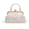 New Trend Simple Casual Shoulder Portable Fashion Chain Niche 2025 Spring Crossbody Shell Women's Bag