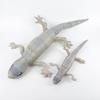 Muñeca Lagarto Nueva Juguete de Peluche Camaleón Creativo Muñeca Gecko Muñeca