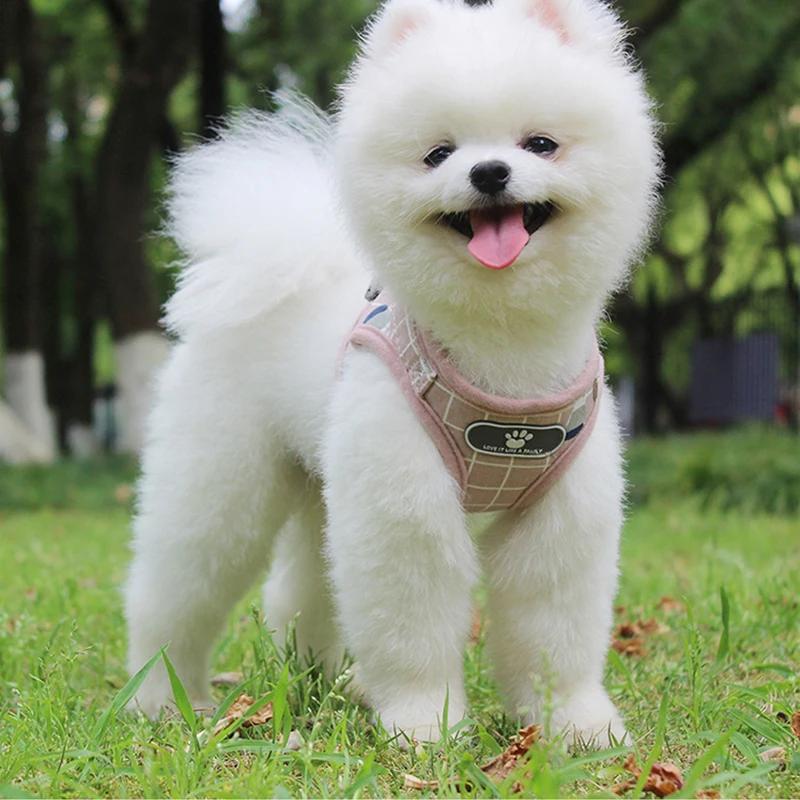 Small Medium Dog Harness Reflective Breathable Chest Strap Plaid Teddy Bichon Pet Clothes Supplies Dog Chain Leash Printed Vest