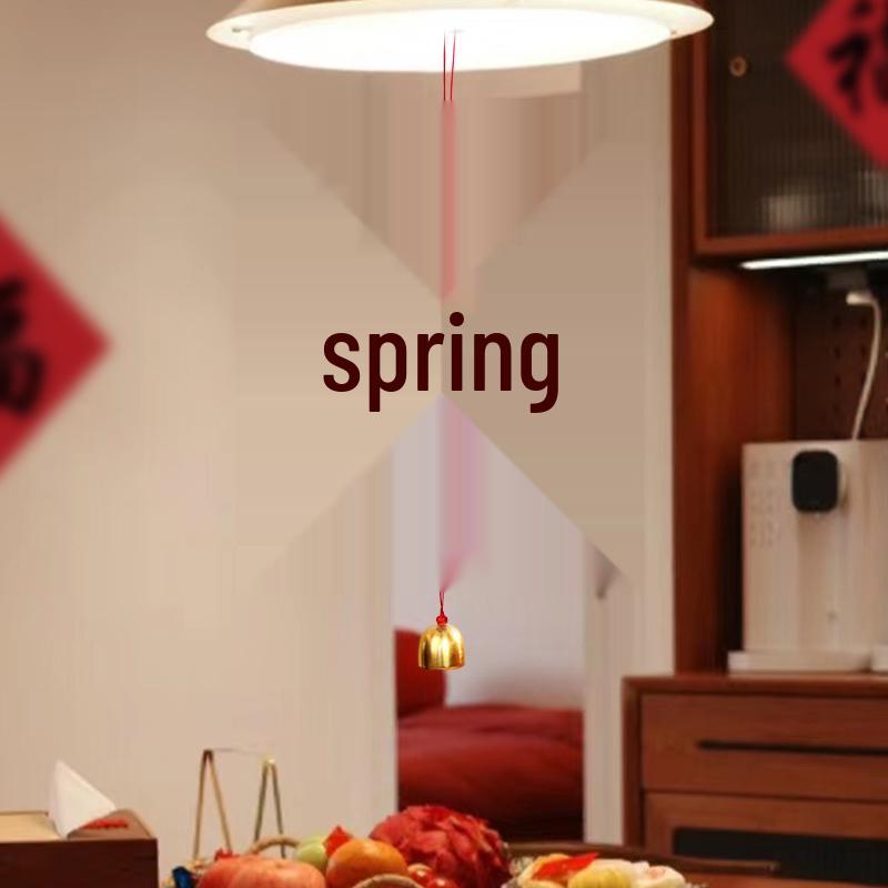 2025 Year of the Snake Spring Festival Lantern Pendant with Honeycomb Ball Decorations for New Year Wall or Door Hanging