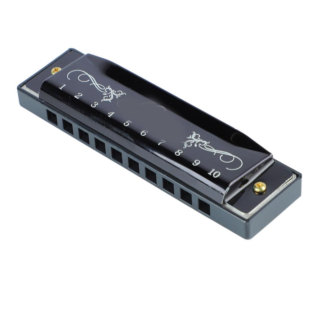 Harmonica 10 Hole 20 Tune C Key Professional Standard Mouth Organ with Case for Kid Beginner