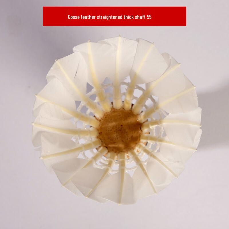 

LISM Durable Training Badminton Shuttlecock