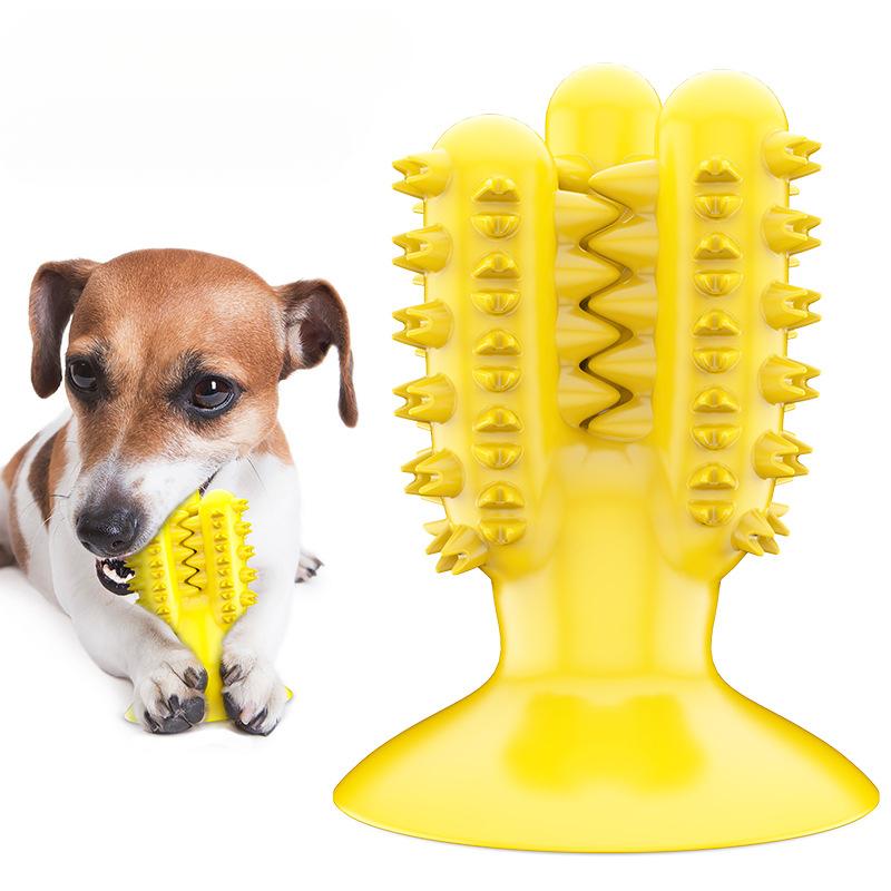 Pet Supplies Factory Wholesale Company New Explosions Cactus Toothbrush Grinding Stick Dog Toy Ball