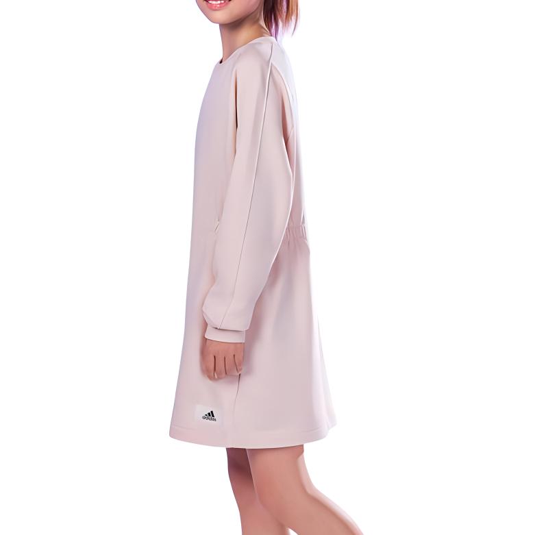 Adidas Kids Solid Color Sports Long Sleeve Dress Kids dresses Miracle-Quartz IT4838