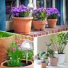 10Pcs Plant Watering Globes Automatic Self-Watering Globes PVC Balls Garden Water Device Watering Bulbs For Plant Promotion