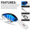 12,5 CM 24,5 G Esca Minnow da Pesca Galleggiante Roccia Plastica Pesce Esca Piccolo Grasso Esca Luya Amo 4 # Attrezzatura da Pesca